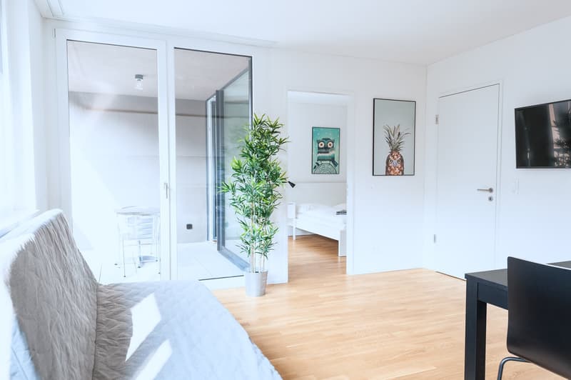 Spacious living room with large windows, hardwood floors, white walls, gray sofa, potted plant, and framed artwork on the walls