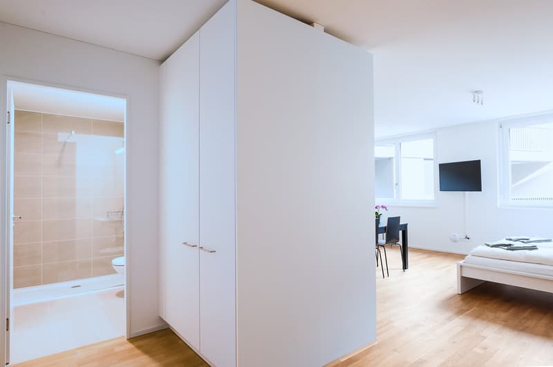 Modernes 1.5-Zimmer-Studio in Basel (8)