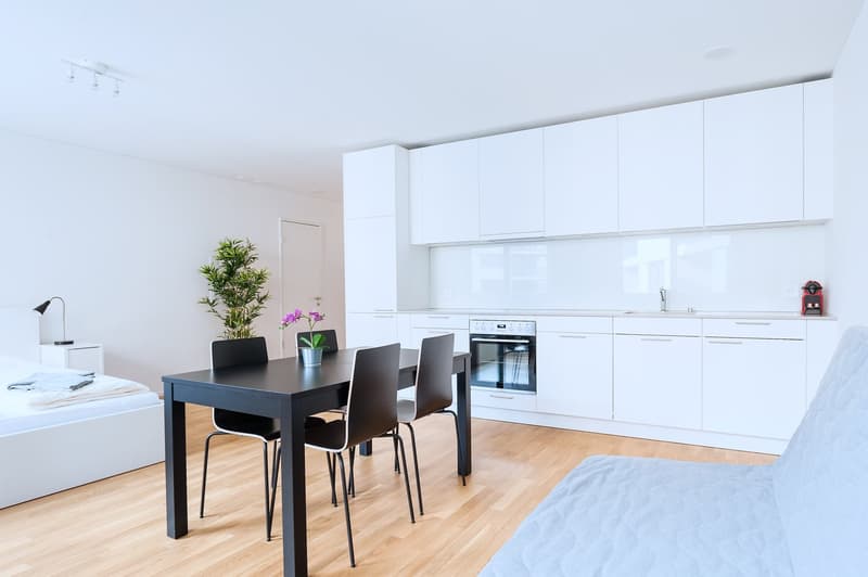 Modernes 1.5-Zimmer-Studio in Basel (6)
