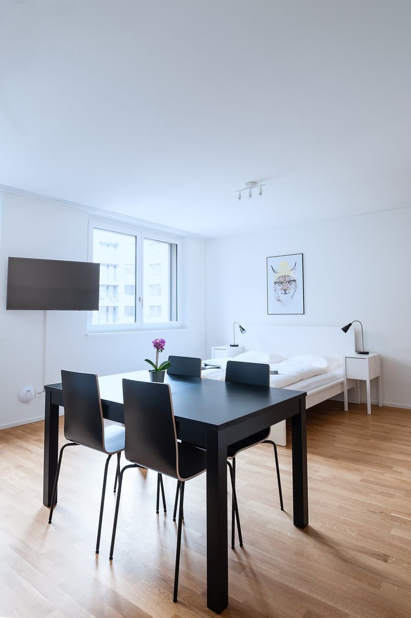 Modernes 1.5-Zimmer-Studio in Basel (7)