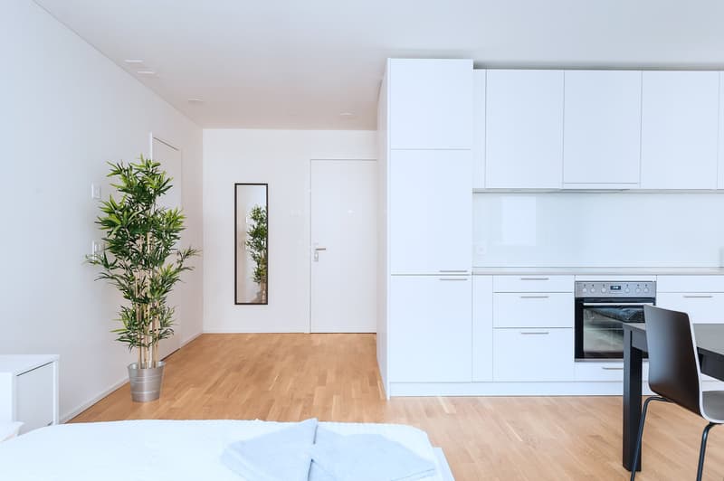 Modernes 1.5-Zimmer-Studio in Basel (4)