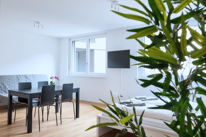 Modernes 1.5-Zimmer-Studio in Basel (3)