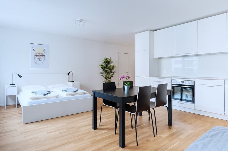 Modernes 1.5-Zimmer-Studio in Basel (5)
