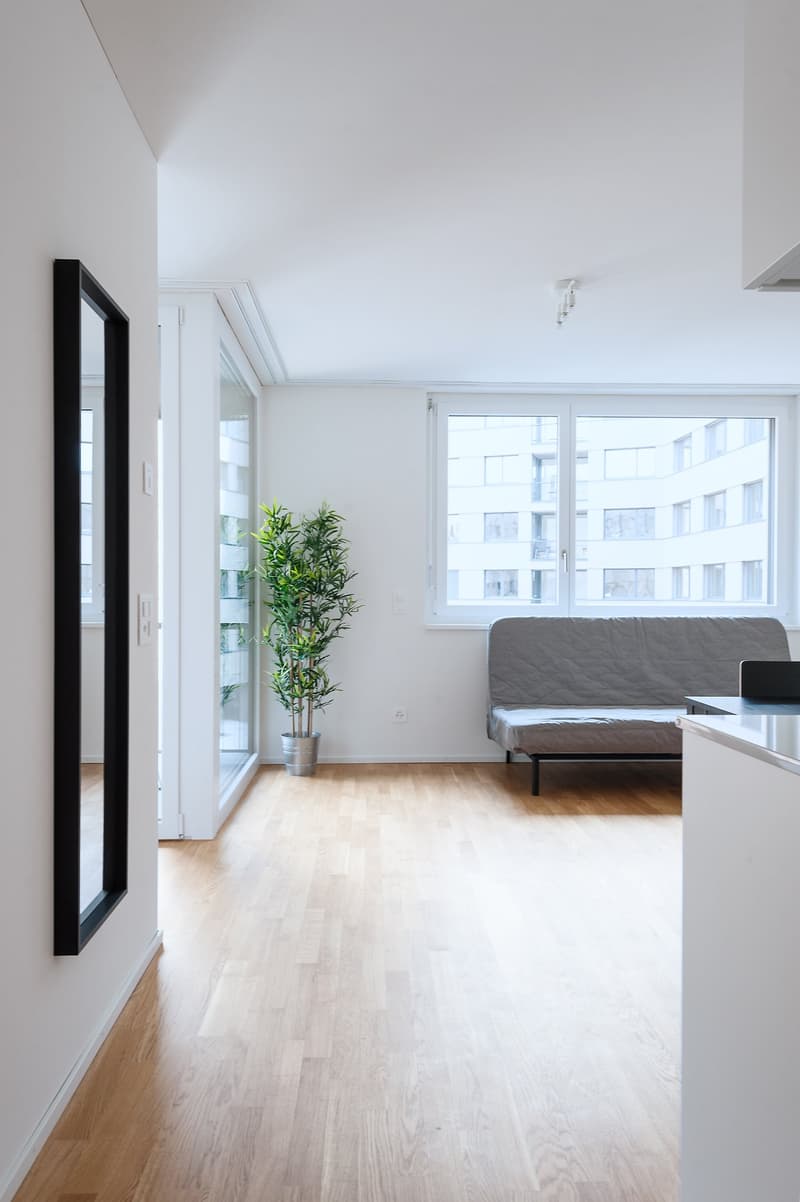 Moderne 2.5-Zimmer-Wohnung mit Balkon in Basel (1)