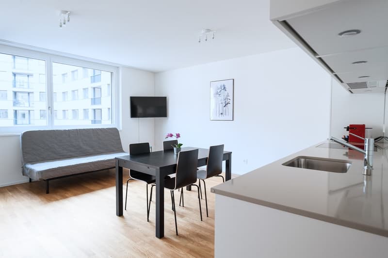 Moderne 2.5-Zimmer-Wohnung mit Balkon in Basel (2)