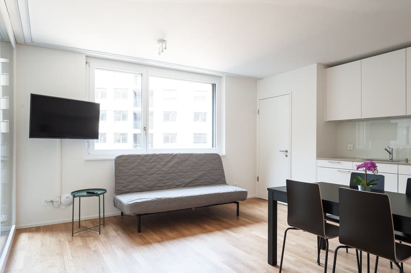 Open-plan studio apartment with hardwood floors, large windows, a gray futon sofa, a dining table with chairs, and a kitchen with white cabinets and a dishwasher. A flat-screen TV is mounted on the wall.