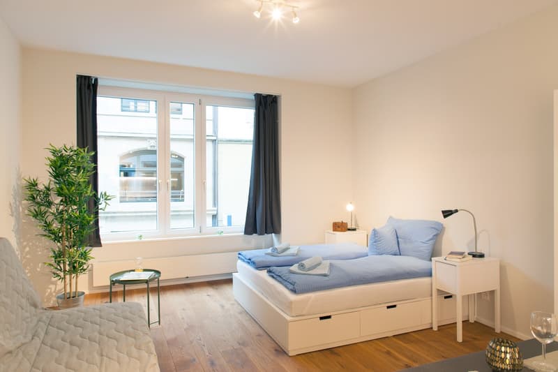 Charmante und möblierte Studios im Herzen von Basel (2)