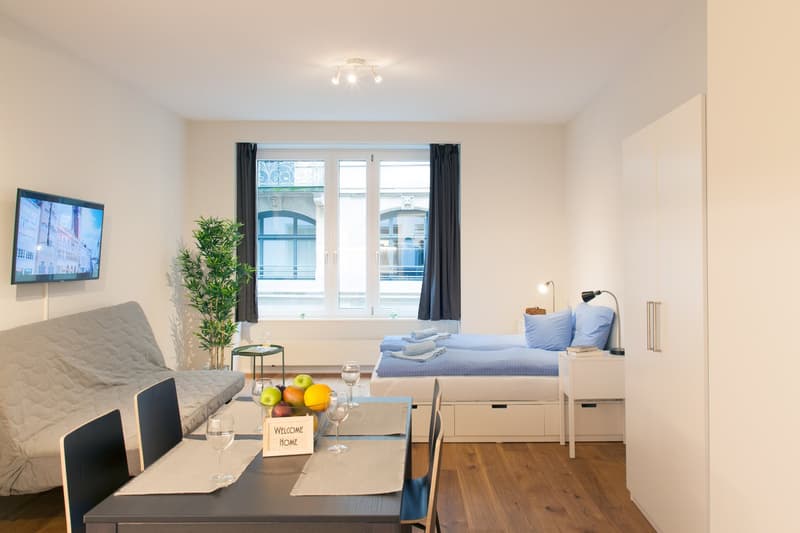 Charmante und möblierte Studios im Herzen von Basel (1)