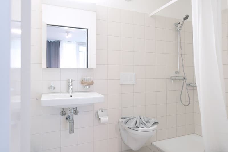 Moderne, möblierte 2-Zimmer-Wohnung mit Balkon in Luzern (19)