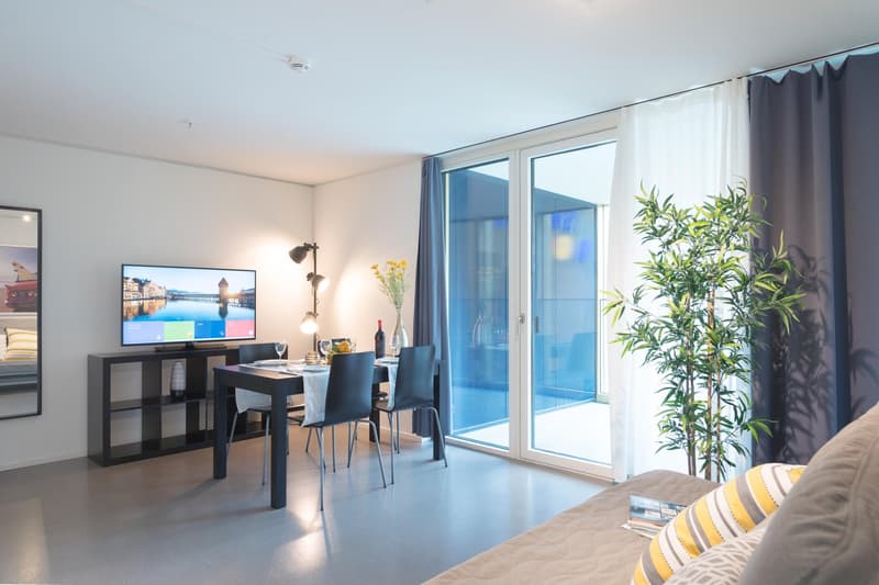 Moderne, möblierte 2-Zimmer-Wohnung mit Balkon in Luzern (1)