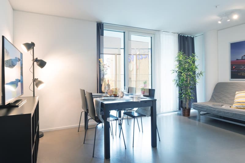 Moderne, möblierte 2-Zimmer-Wohnung mit Balkon in Luzern (9)