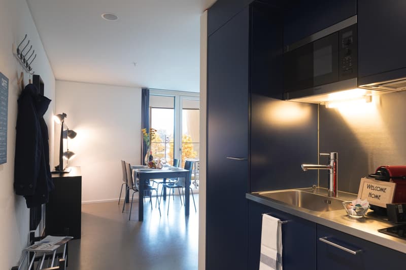 Moderne, möblierte 2-Zimmer-Wohnung mit Balkon in Luzern (4)