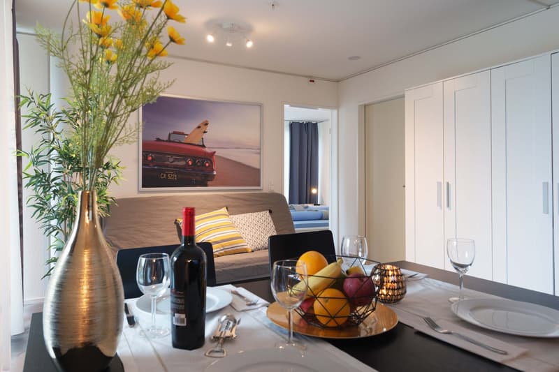 Moderne, möblierte 2-Zimmer-Wohnung mit Balkon in Luzern (10)