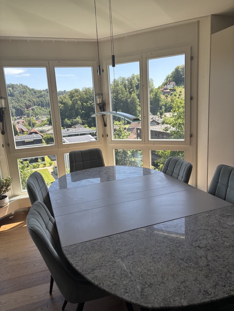 Spacious apartment in a sunny and quiet location in Willisau with a wonderful view (5)