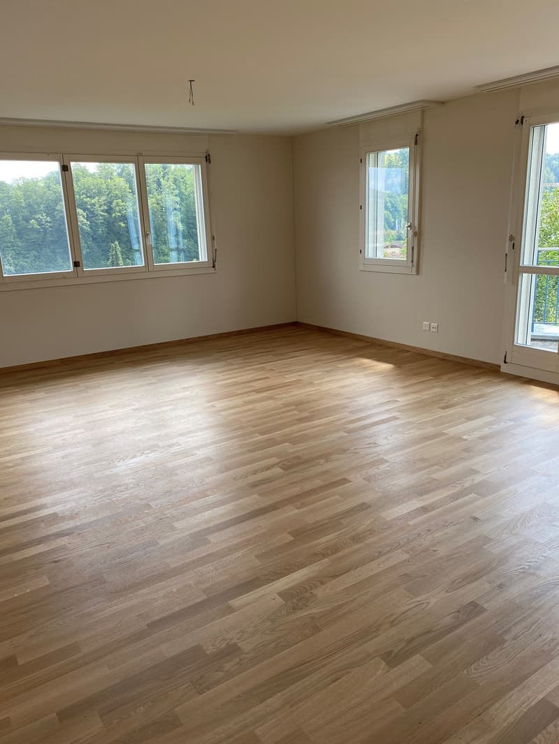 4 1/2 Zimmerwohung, 110 m2,  CHF 1'850 plus  CHF 250.00 Nebenkosten (6)