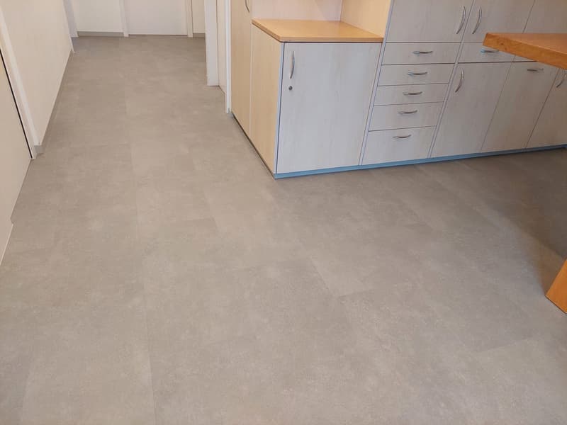 Bureaux ou locaux commerciaux à louer (2)