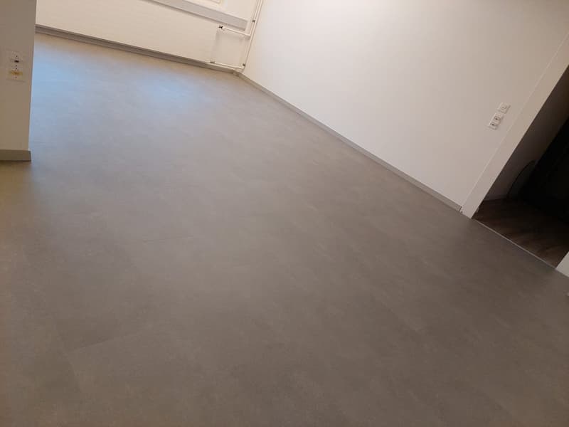 Bureaux ou locaux commerciaux à louer (4)