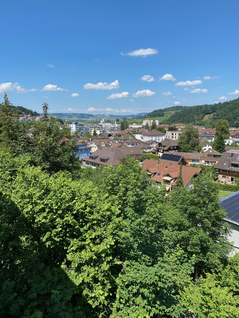 Grosszügige Garten-Wohnung an sonniger und ruhiger Lage in Willisau mit wunderschöner Aussicht (1)