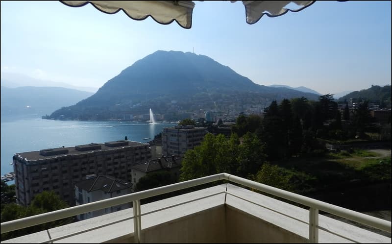 Appartamento 5.5 locali, centro Lugano con splendida vista lago, arredato (1)