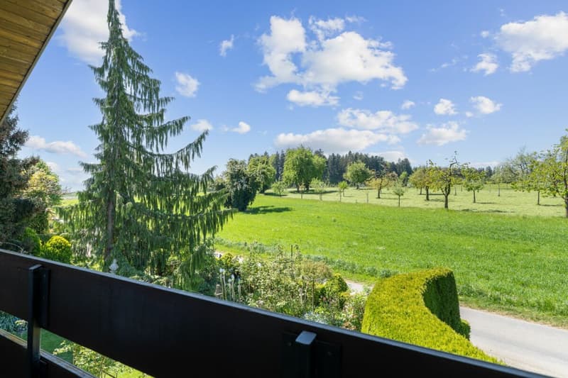 Balkon mit Aussicht ins Grüne