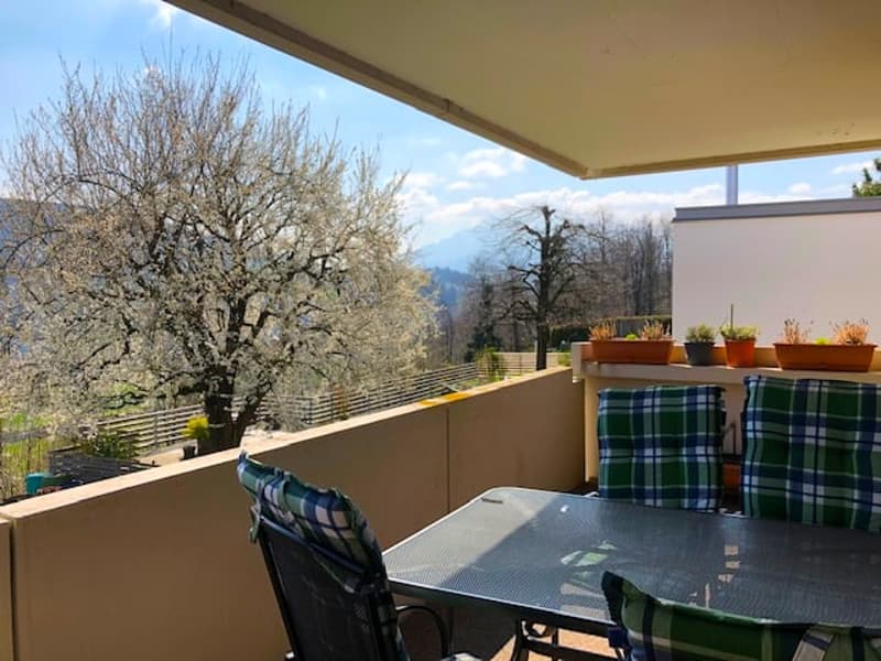 Balcony with table and chairs, potted plants, railing, view of trees and mountains