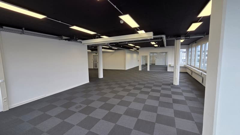 Modern & bright office space with beautiful terrace in Steinhausen (4)