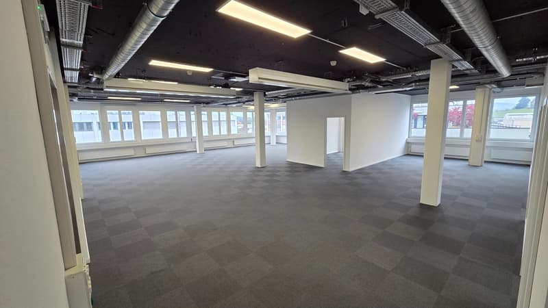 Modern & bright office space with beautiful terrace in Steinhausen (2)