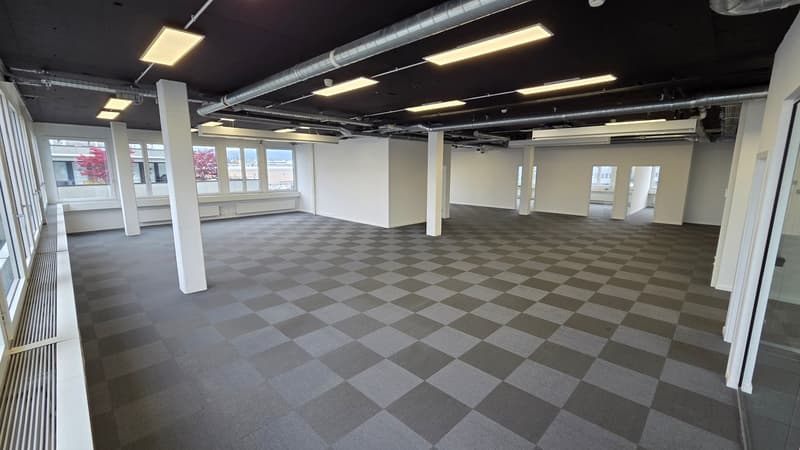 Modern & bright office space with beautiful terrace in Steinhausen (3)