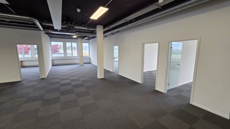 Modern & bright office space with beautiful terrace in Steinhausen (7)