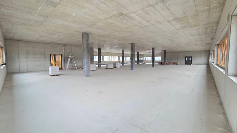 Zofingen - Attraktive Gewerbefläche im 3. OG – 977 m² flexibel ausbaubar (8)