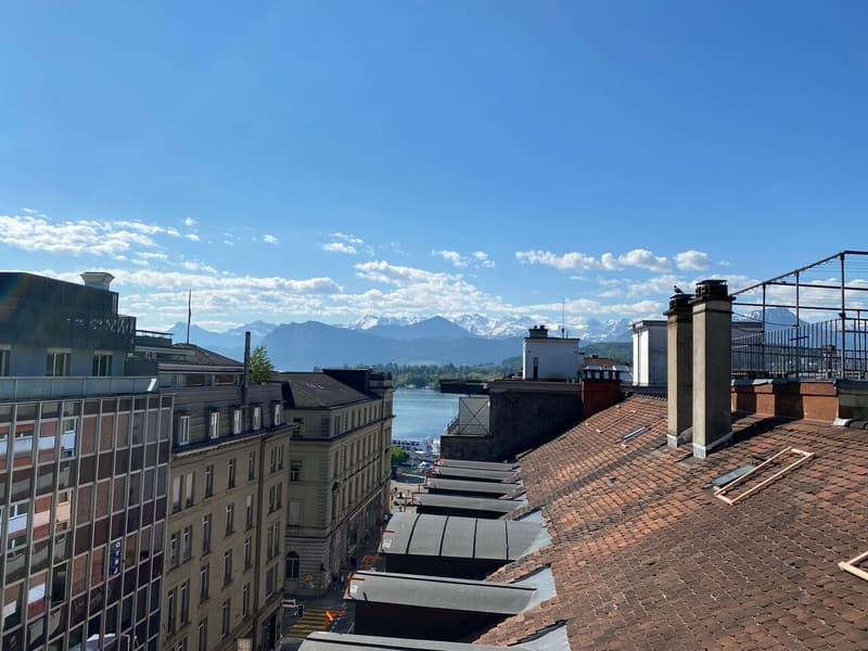 Cet appartement vous laissera sans voix - attique de rêve avec vue panoramique à Lucerne (2)