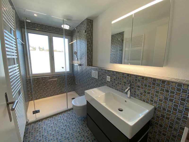 Cet appartement vous laissera sans voix - attique de rêve avec vue panoramique à Lucerne (10)