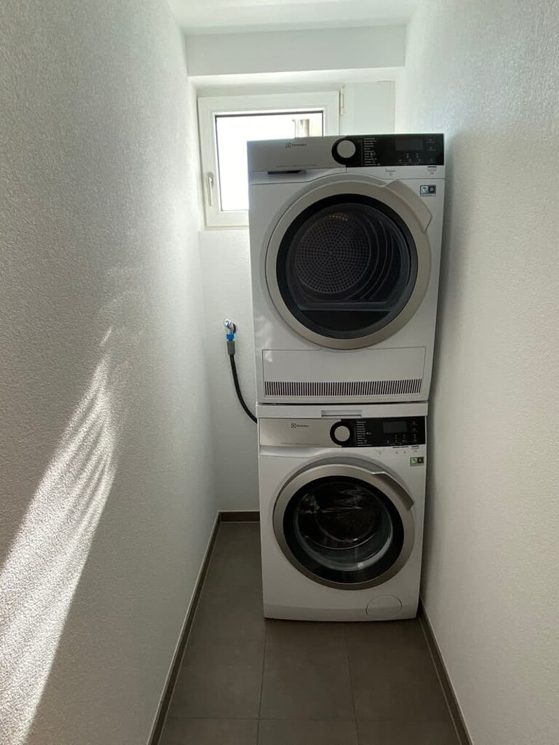 Cet appartement vous laissera sans voix - attique de rêve avec vue panoramique à Lucerne (13)
