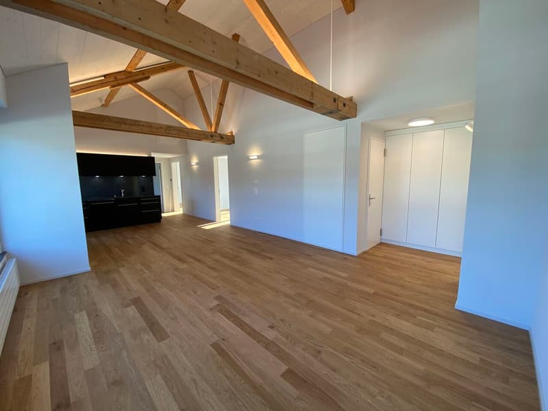 Cet appartement vous laissera sans voix - attique de rêve avec vue panoramique à Lucerne (6)