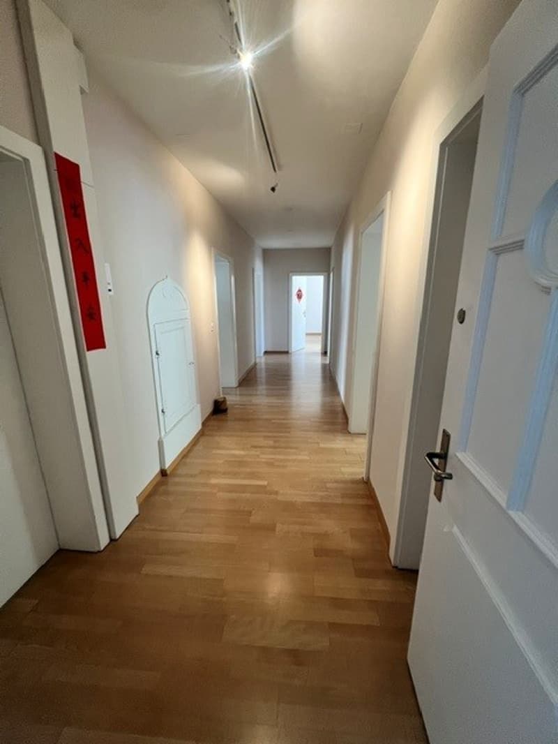 Attraktive 5-Zimmer-Büroräumlichkeit an zentraler Lage in Luzern (2)