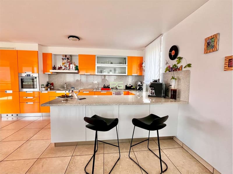 Stunning apartment for sale in Sementina (4)