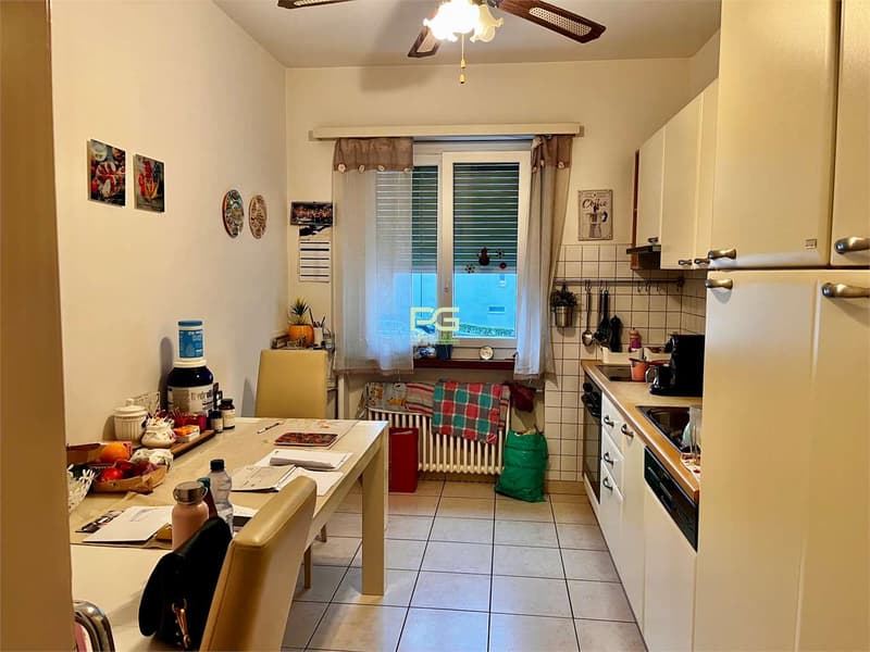 3.5 room apartment with garden (5)