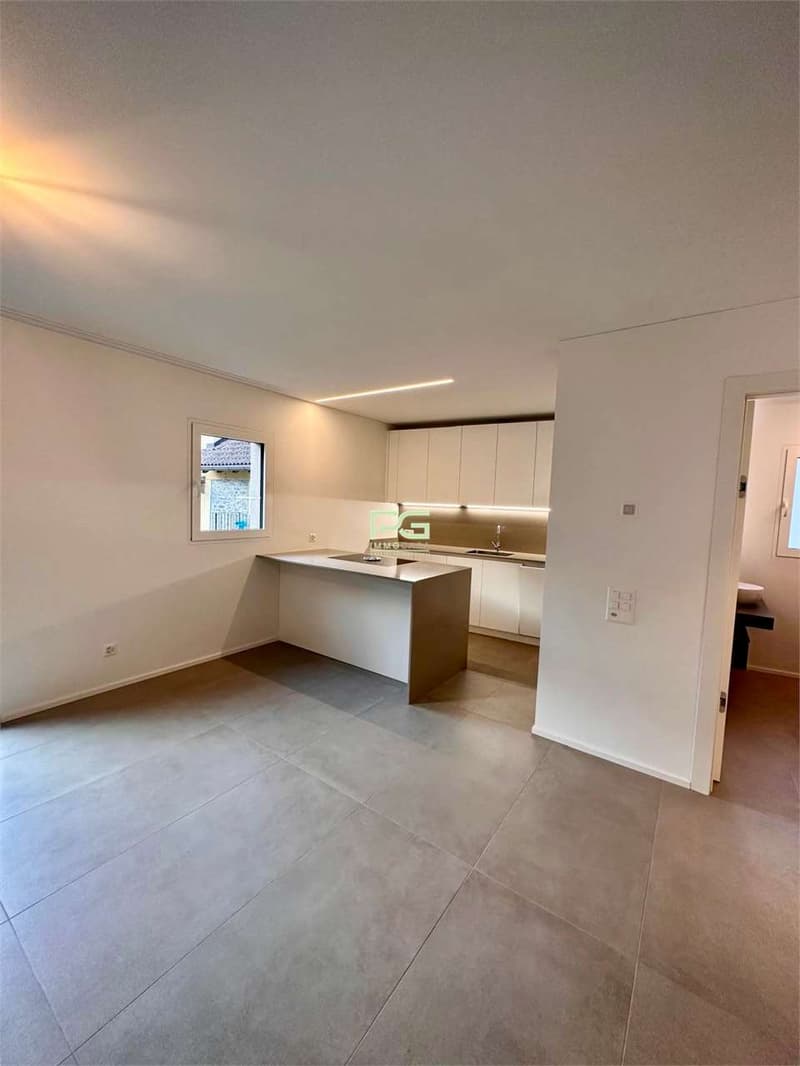 Casa con giardino in affitto (5)