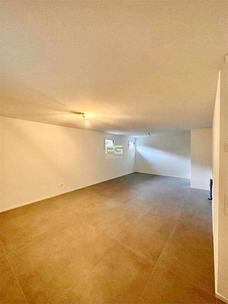 Casa con giardino in affitto (11)