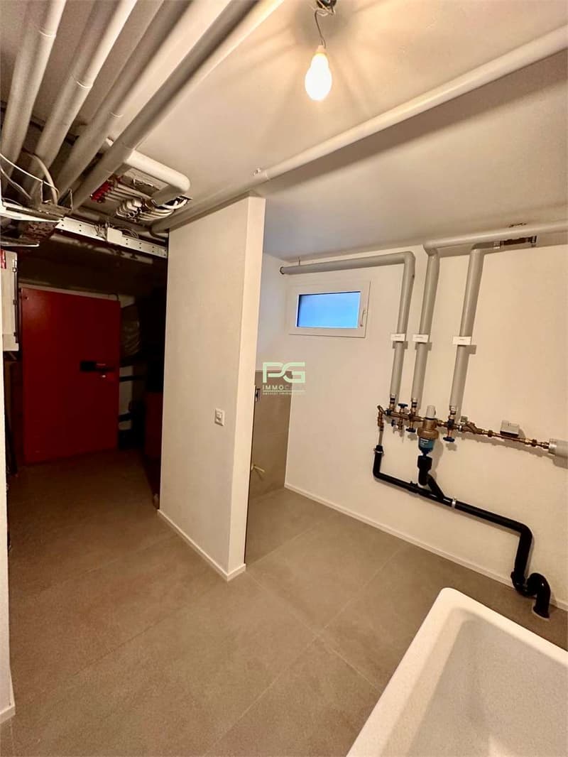 Casa con giardino in affitto (12)