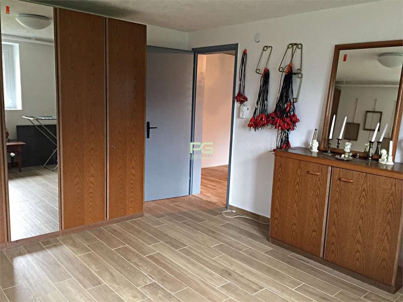 Einfamilienhaus mit großem Garten (7)