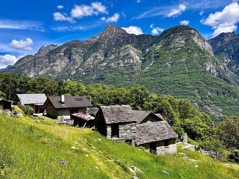 Lodrino Mountains - Rustic for Sale (4)