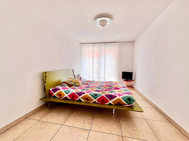 Stunning apartment for sale in Sementina (5)