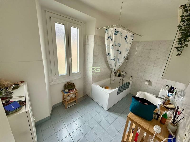 Subventionär für großes 3.5-Zimmer-Apartment (8)