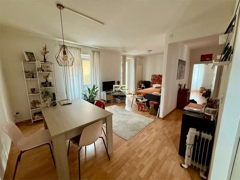 Subventionär für großes 3.5-Zimmer-Apartment (3)