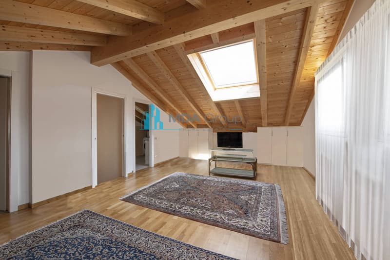 Einfamilienhaus - Lugano (5)
