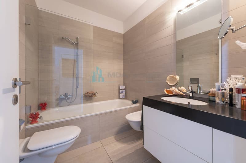 Appartement - Aldesago (9)