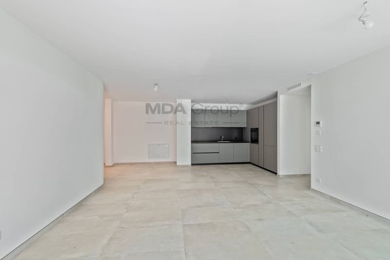Appartement - Barbengo (7)