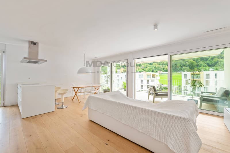Appartement - Barbengo (4)