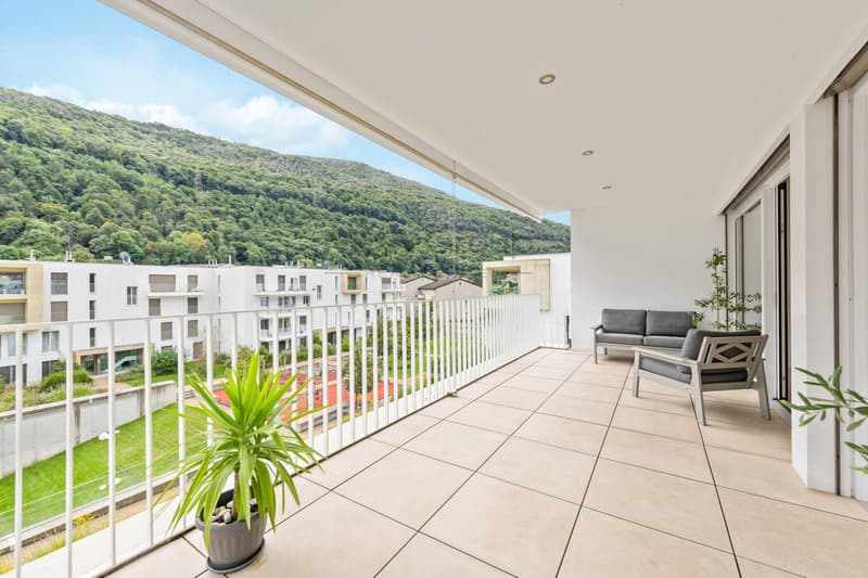 Appartement - Barbengo (3)